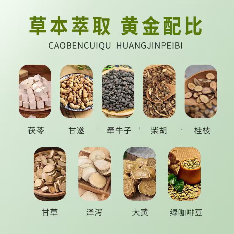 20 pâtes de moxibustion pour l - Health & Wellness Utsg avis et prix